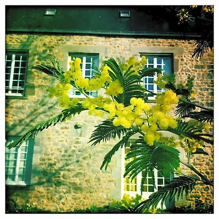 B&B Manoir De La Grand'cour 3*